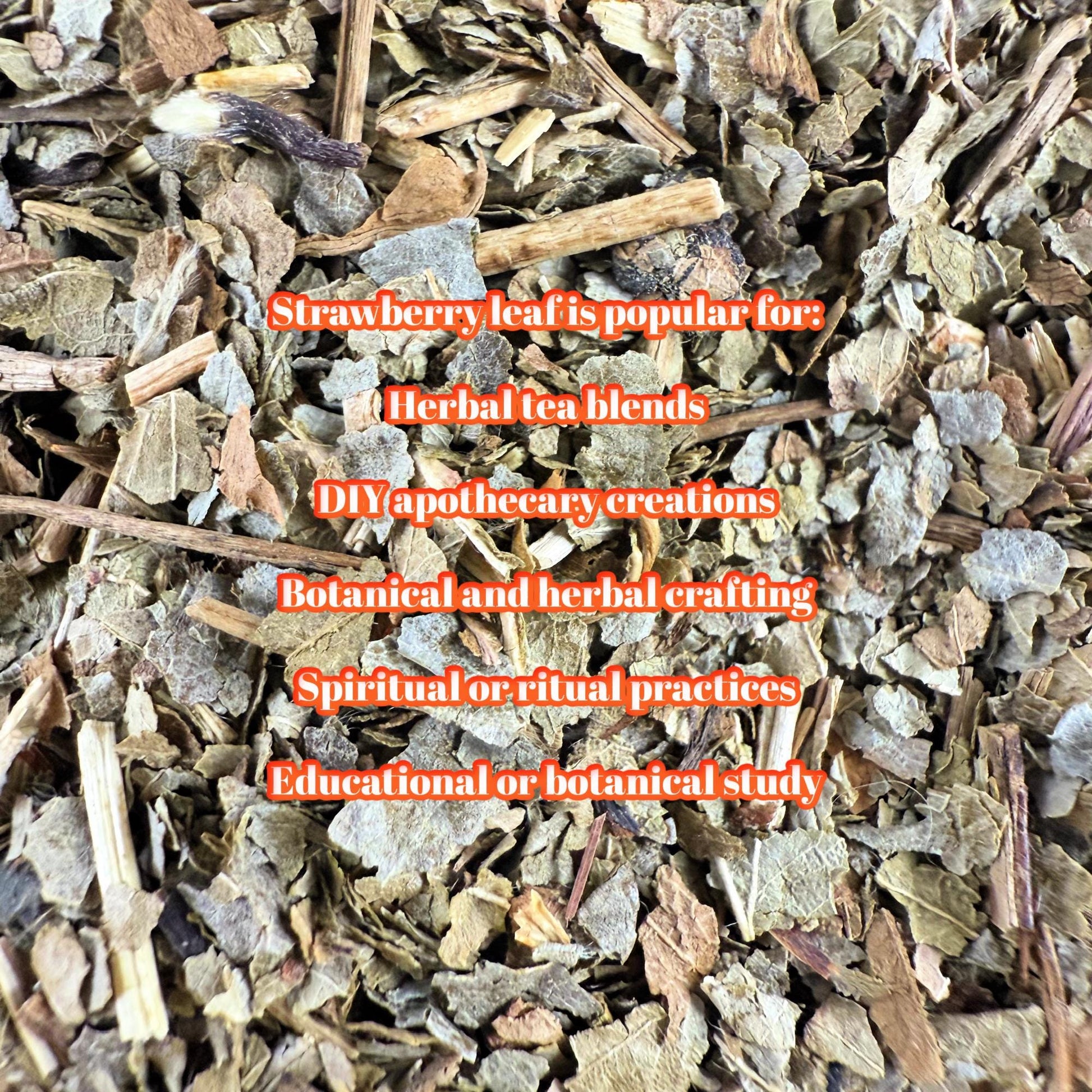 Wildcrafted Strawberry Leaf – Dried Herb | Herbal Tea, Crafting & Apothecary |