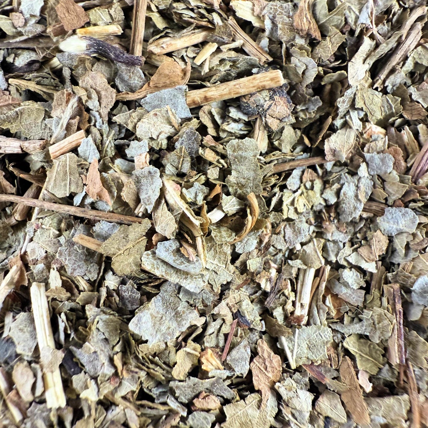 Wildcrafted Strawberry Leaf – Dried Herb | Herbal Tea, Crafting & Apothecary |
