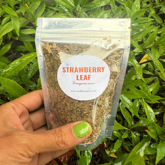 Wildcrafted Strawberry Leaf – Dried Herb | Herbal Tea, Crafting & Apothecary |