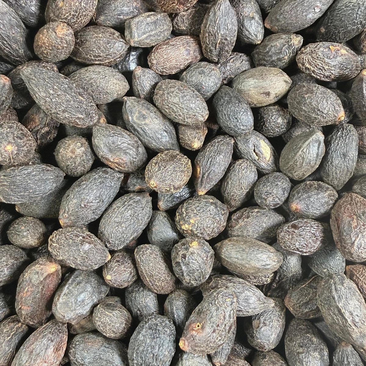 Wildcrafted Saw Palmetto Berries – Dried Herb from the USA – Botanical, Crafts, Tea, DIY Projects