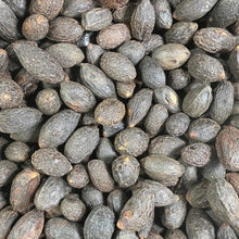 Wildcrafted Saw Palmetto Berries – Dried Herb from the USA – Botanical, Crafts, Tea, DIY Projects
