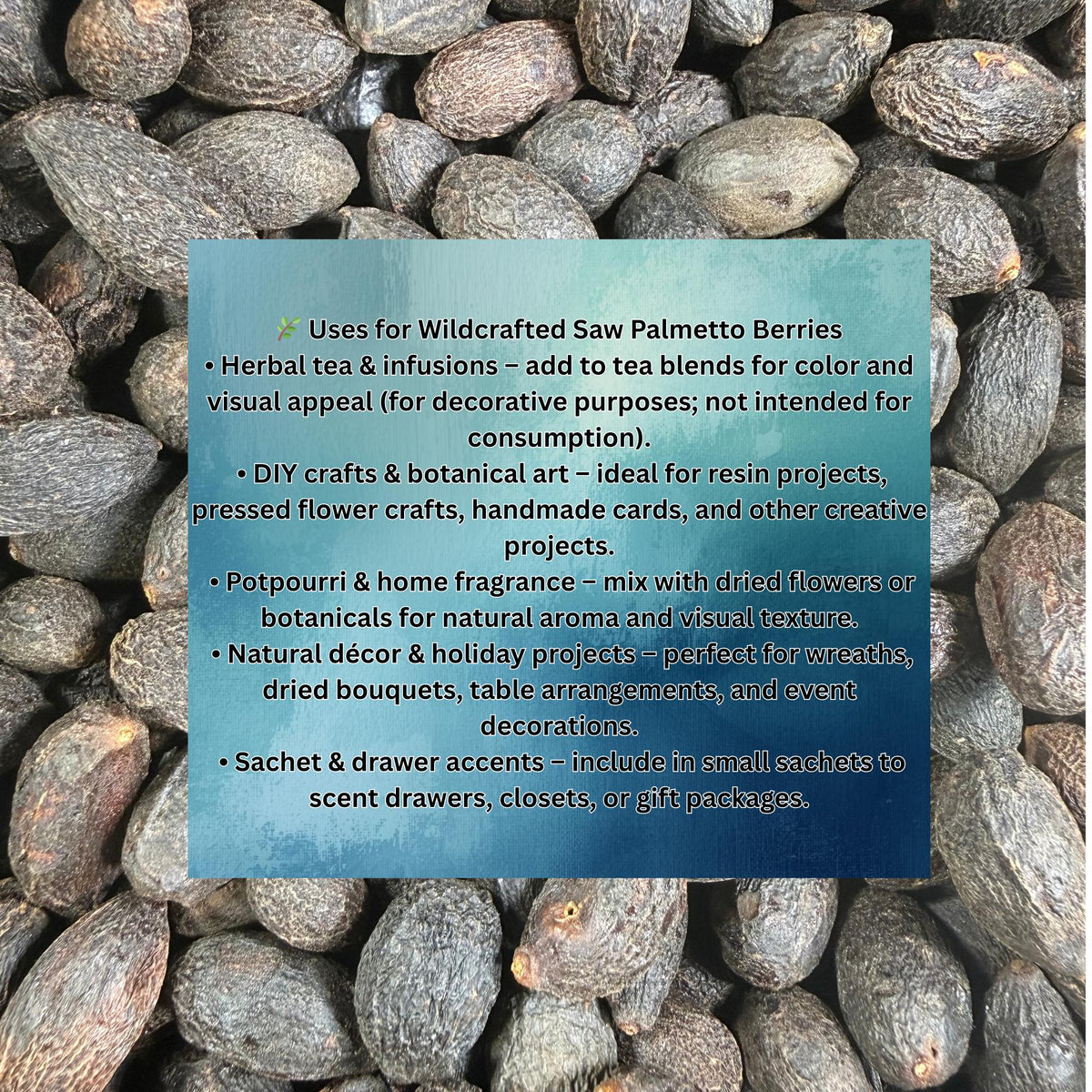 Wildcrafted Saw Palmetto Berries – Dried Herb from the USA – Botanical, Crafts, Tea, DIY Projects