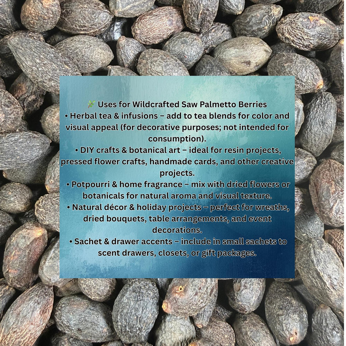 Wildcrafted Saw Palmetto Berries – Dried Herb from the USA – Botanical, Crafts, Tea, DIY Projects