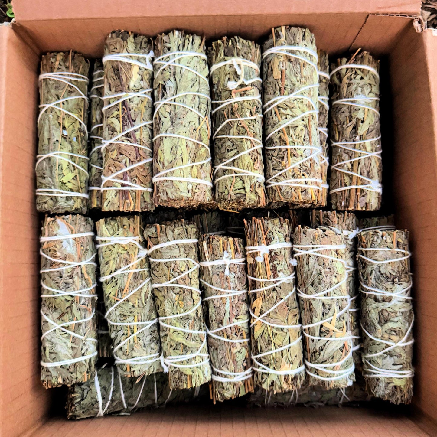 Mugwort Smudge Sticks (Black Sage) – Dreamwork & Cleansing Set