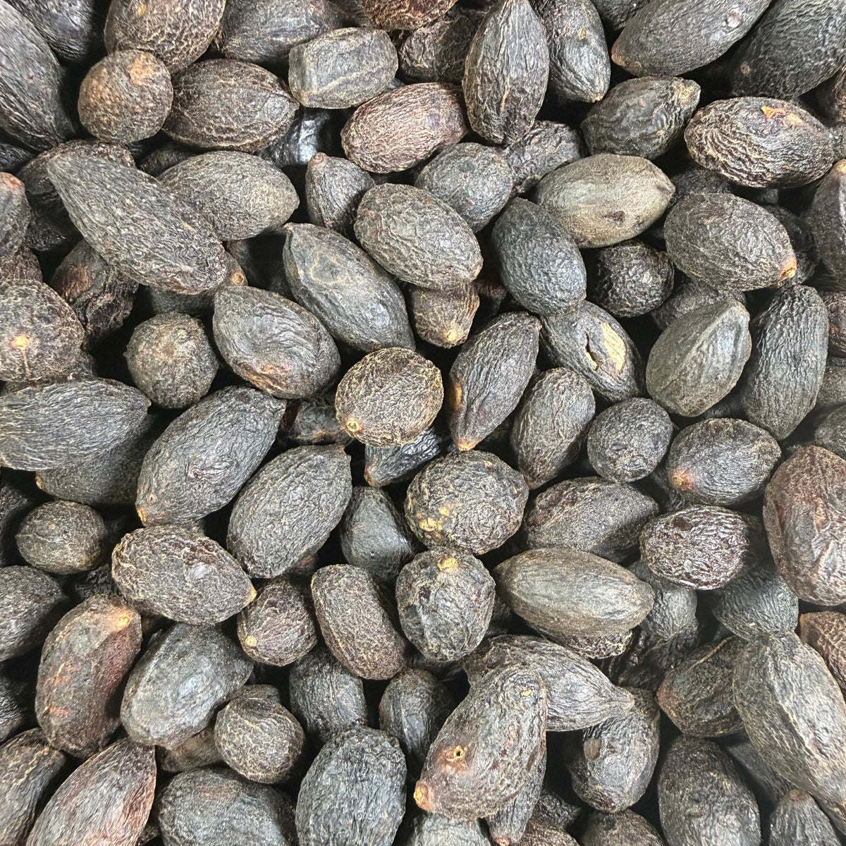 Wildcrafted Saw Palmetto Berries – Dried Herb from the USA – Botanical, Crafts, Tea, DIY Projects