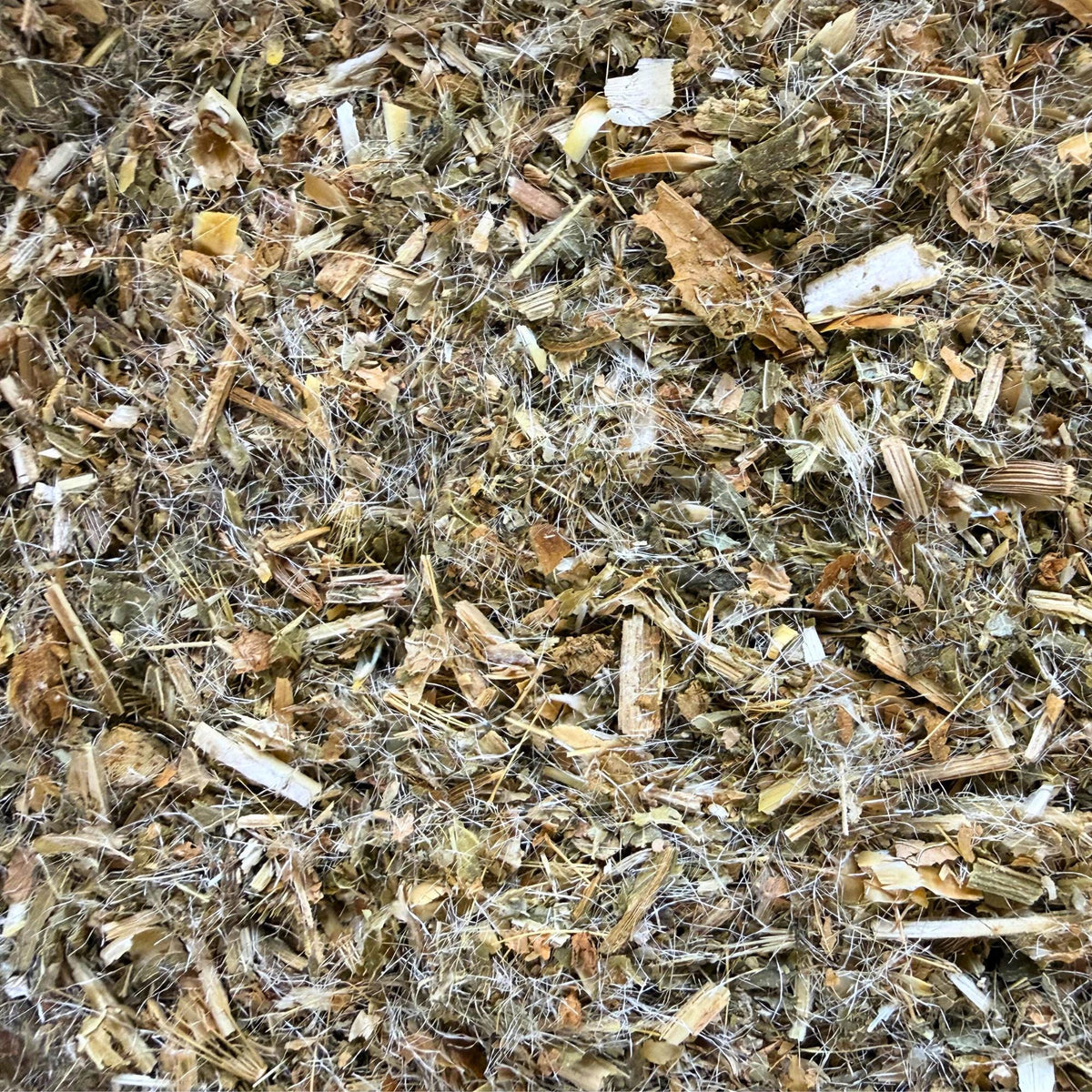 Blessed Thistle Herb | Cnicus Benedictus | Loose Cut Dried Herb | Herbal Tea & Ritual Use