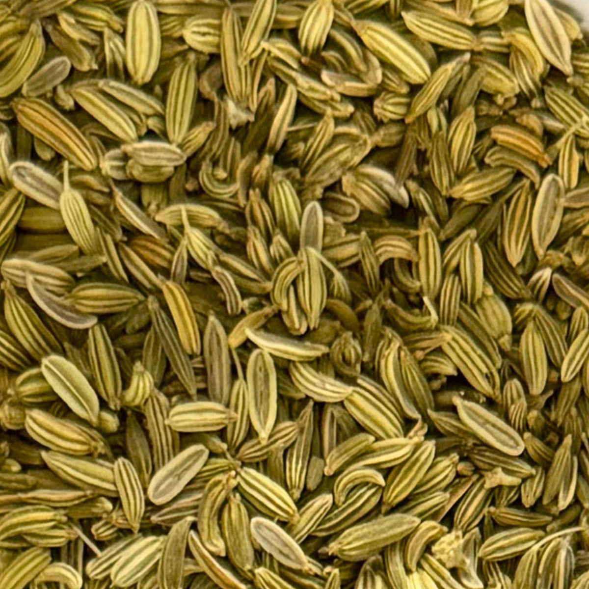 Organic Fennel Seeds | Whole Foeniculum vulgare | Aromatic Culinary Spice | Herbal Tea Ingredient | Organic Spice Seeds | Herbal Apothecary