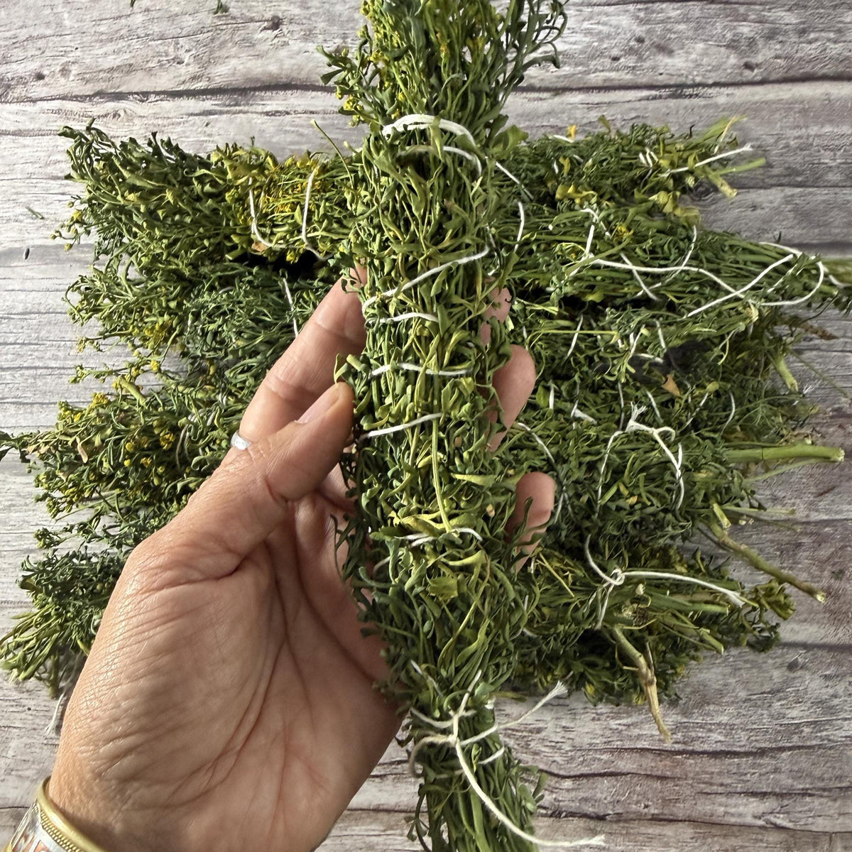 Ruta Graveolens Smudge Stick (Ruda) – 10-inch Handmade Rue Bundle for Protection & Cleansing – Natural, Pesticide-Free, Ritual Herb