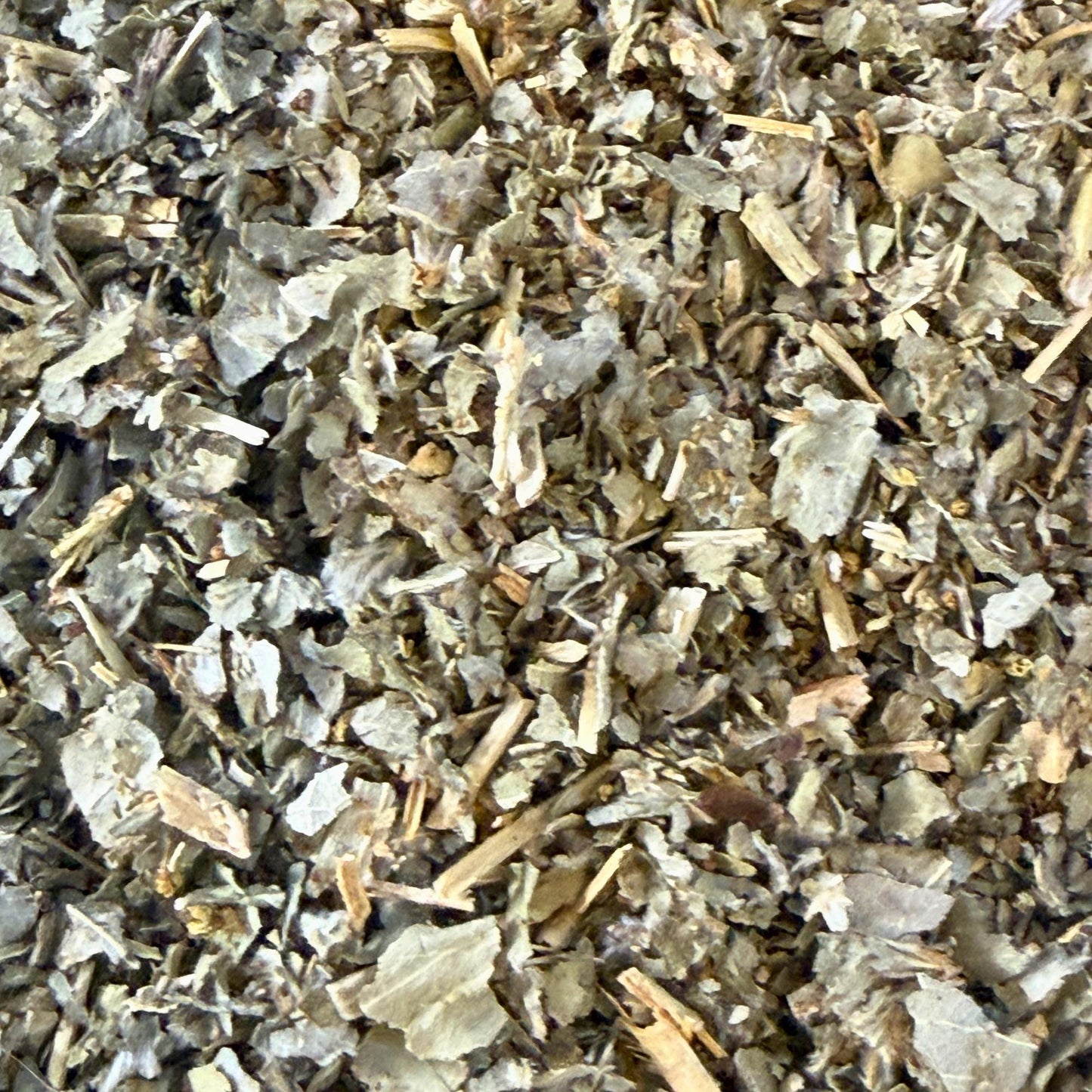 Organic Lady’s Mantle Herb | Alchemilla Vulgaris Dried Herb | Herbal Tea for Women’s Wellness | Ritual & Apothecary Botanical