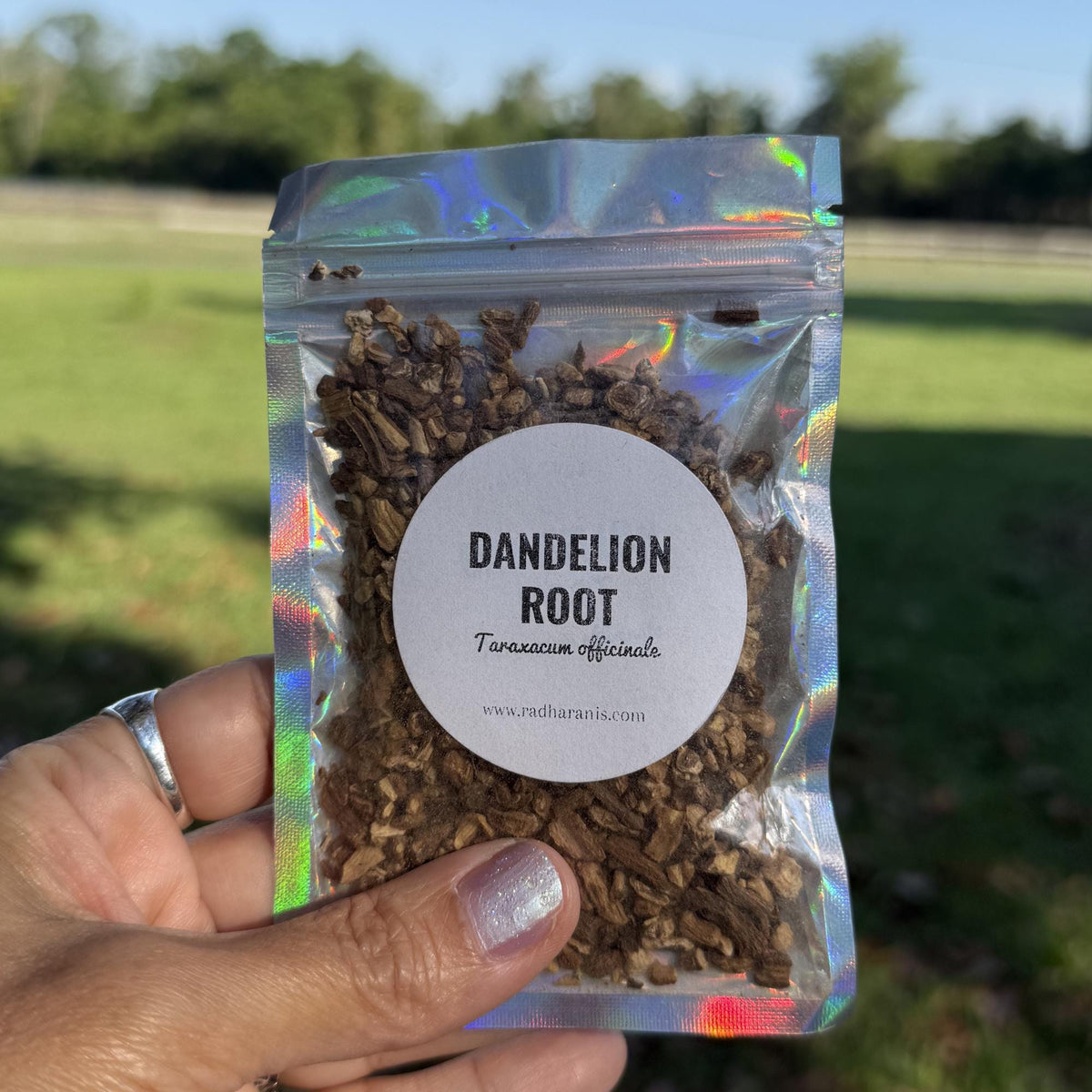 Dandelion Root | Taraxacum officinale | Loose Cut & Sifted Herb | Herbal Tea | Rooted Wellness