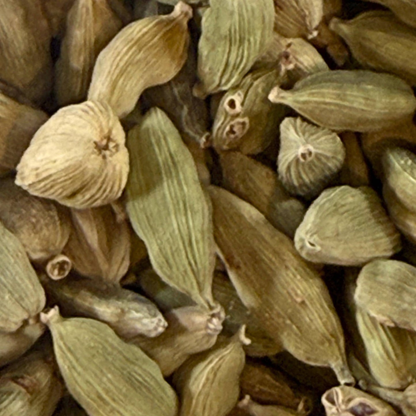 Cardamom Pods – Aromatic Botanical Spice for Tea, Ritual, Apothecary & Herbal Crafting