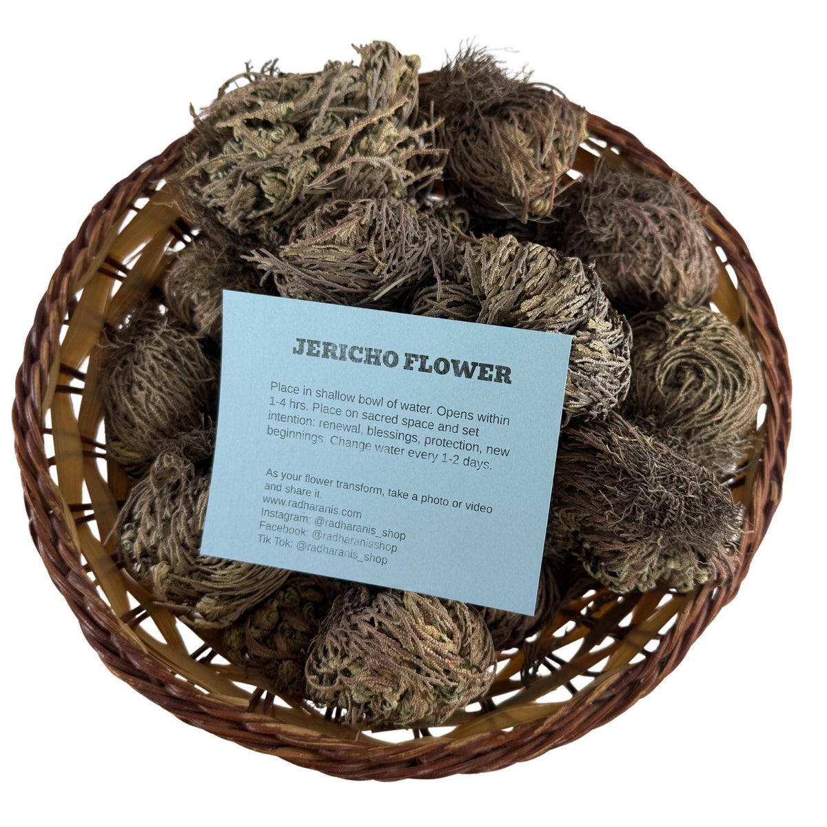 Rose of Jericho | Resurrection Plant | Natural Dried Flower| Spiritual Ritual Rebirth Bundles
