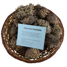 Rose of Jericho | Resurrection Plant | Natural Dried Flower| Spiritual Ritual Rebirth Bundles