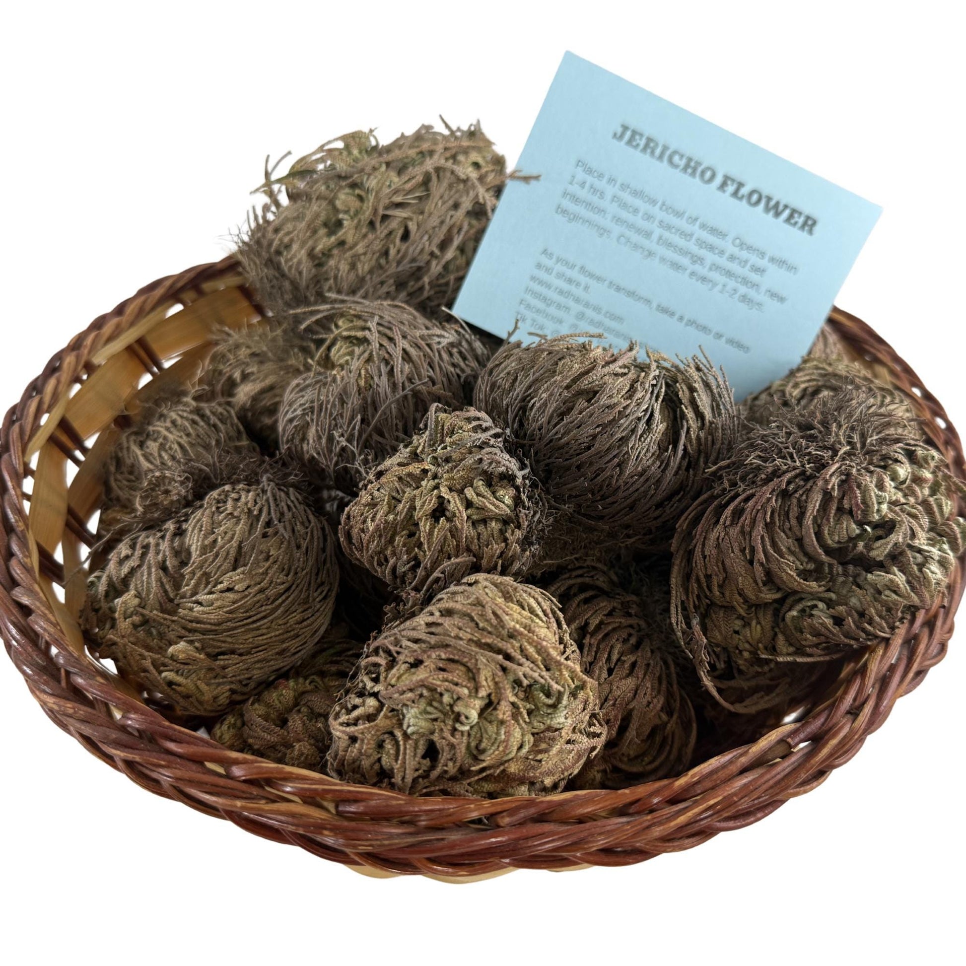 Rose of Jericho | Resurrection Plant | Natural Dried Flower| Spiritual Ritual Rebirth Bundles