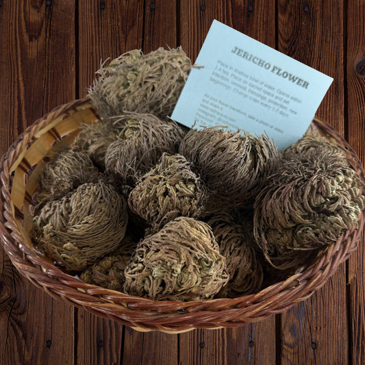 Rose of Jericho | Resurrection Plant | Natural Dried Flower| Spiritual Ritual Rebirth Bundles