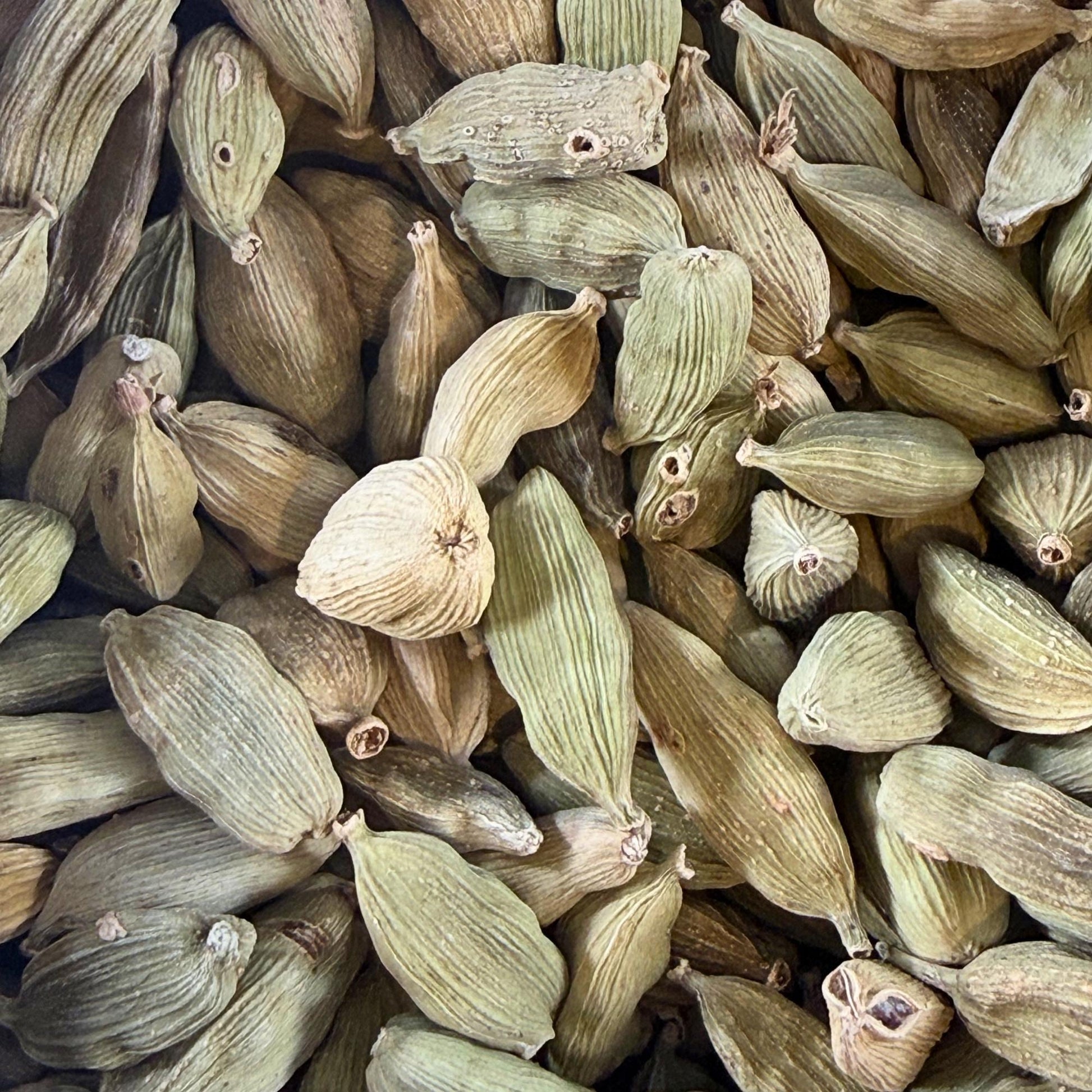 Cardamom Pods – Aromatic Botanical Spice for Tea, Ritual, Apothecary & Herbal Crafting