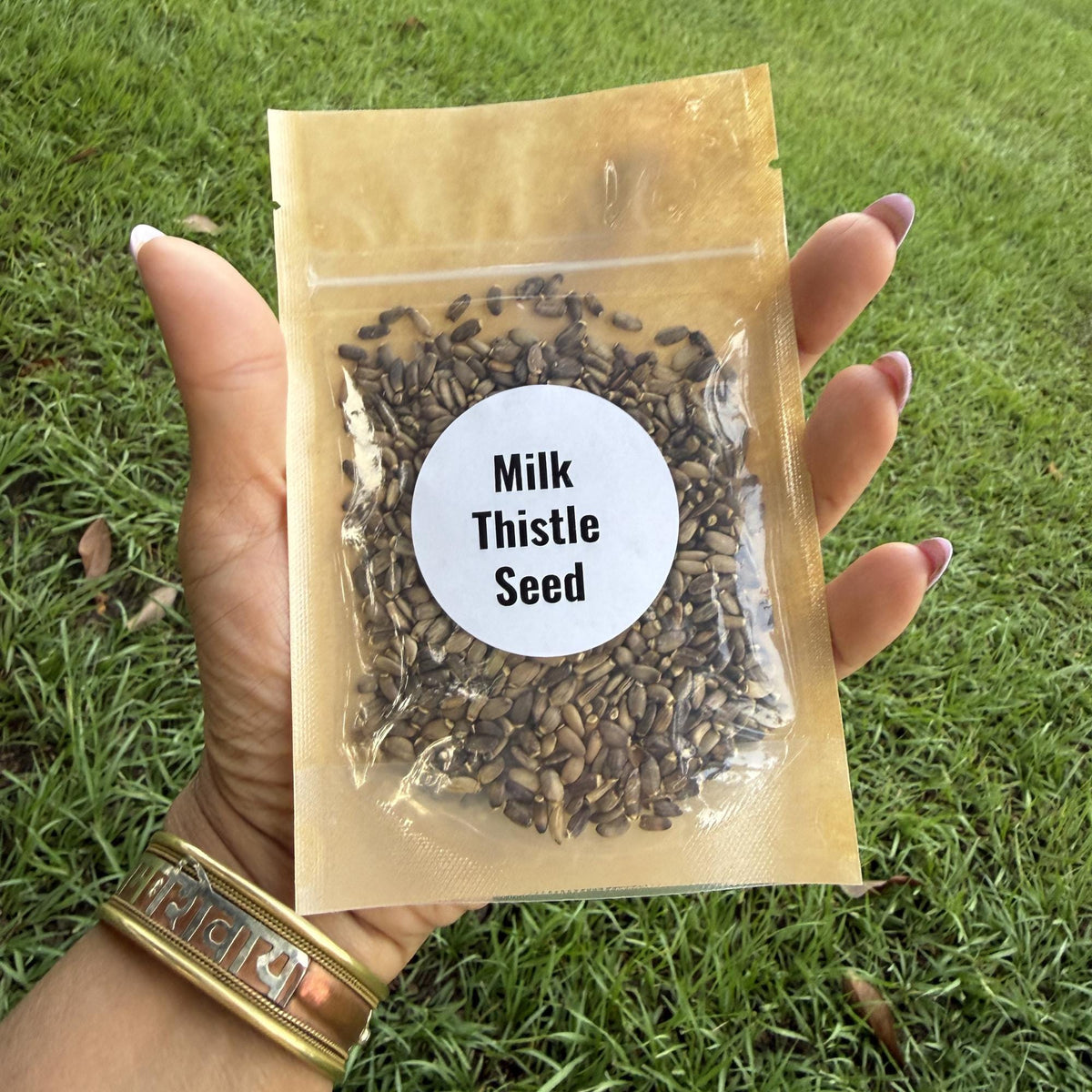 Milk Thistle Seeds | Whole Seeds | Silybum marianum | Herbal Tea Ingredient| Culinary Herb