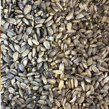 Milk Thistle Seeds | Whole Seeds | Silybum marianum | Herbal Tea Ingredient| Culinary Herb