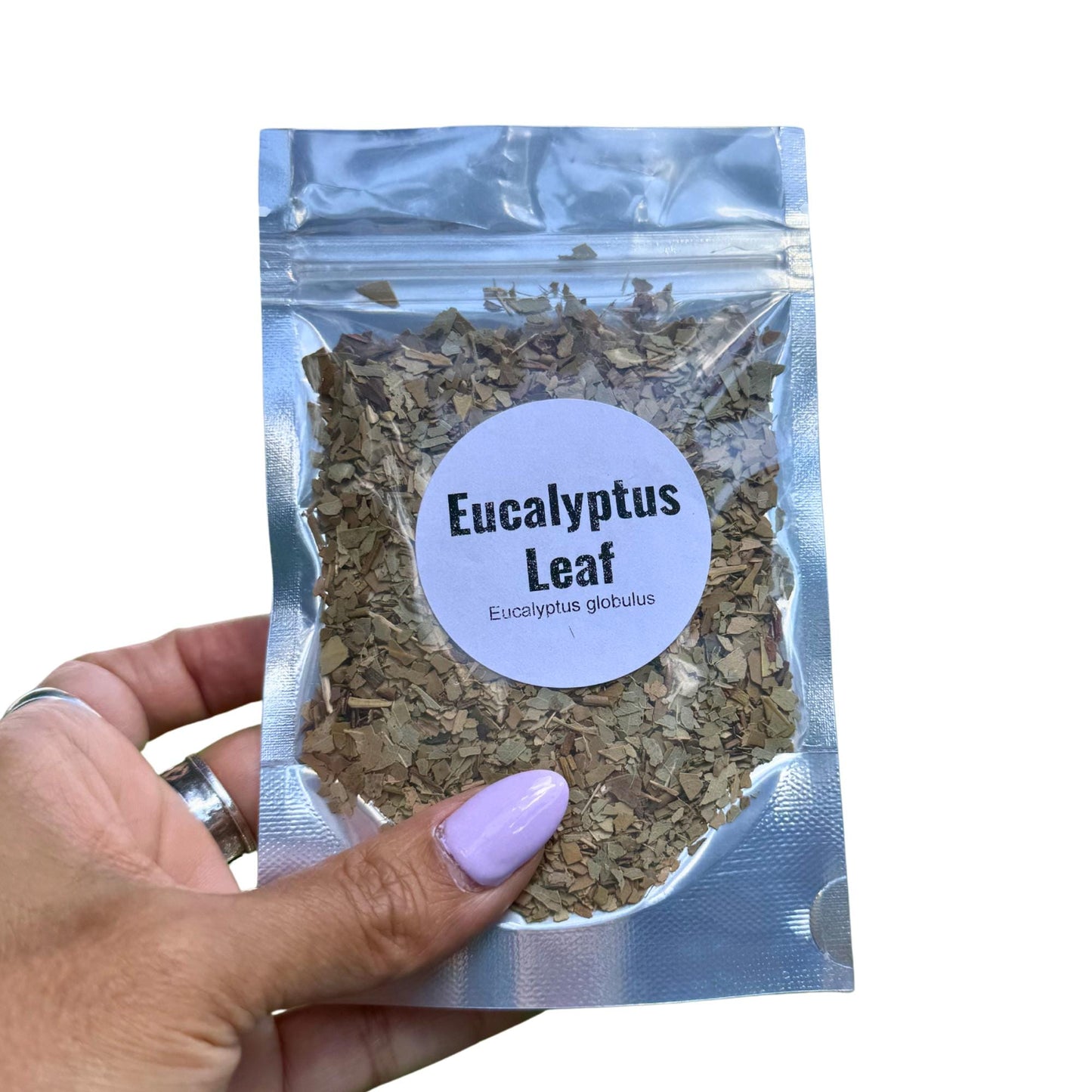 Dried Eucalyptus Leaf Craft Supply | Potpourri, Sachets, Botanical Projects