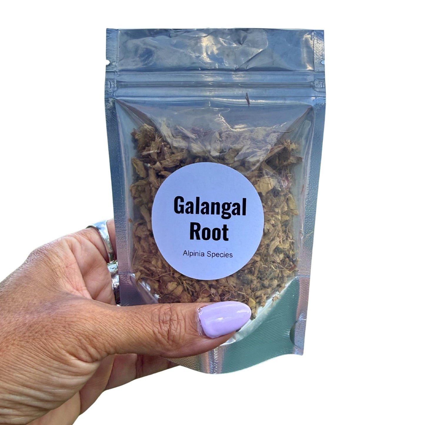 Galangal Root Cut & Sifted | Dried Alpinia Galanga from India | Herbal Spice and Botanical Supply | Apothecary, Culinary Herb
