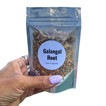 Galangal Root Cut & Sifted | Dried Alpinia Galanga from India | Herbal Spice and Botanical Supply | Apothecary, Culinary Herb