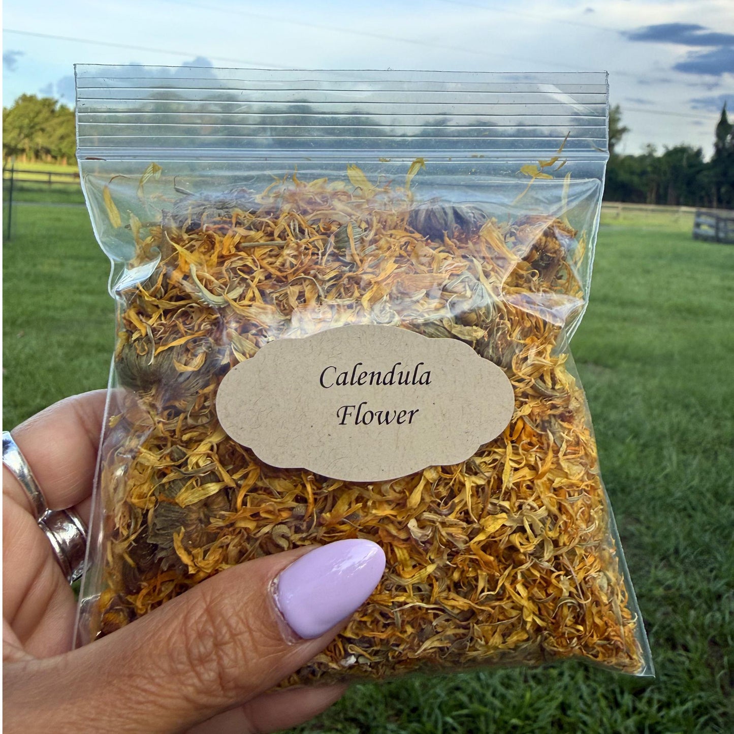 Calendula Flowers Whole | Dried Marigold Petals (Calendula officinalis) | Botanical Herb Supply | Herbal Tea, Skincare, Apothecary Crafts |