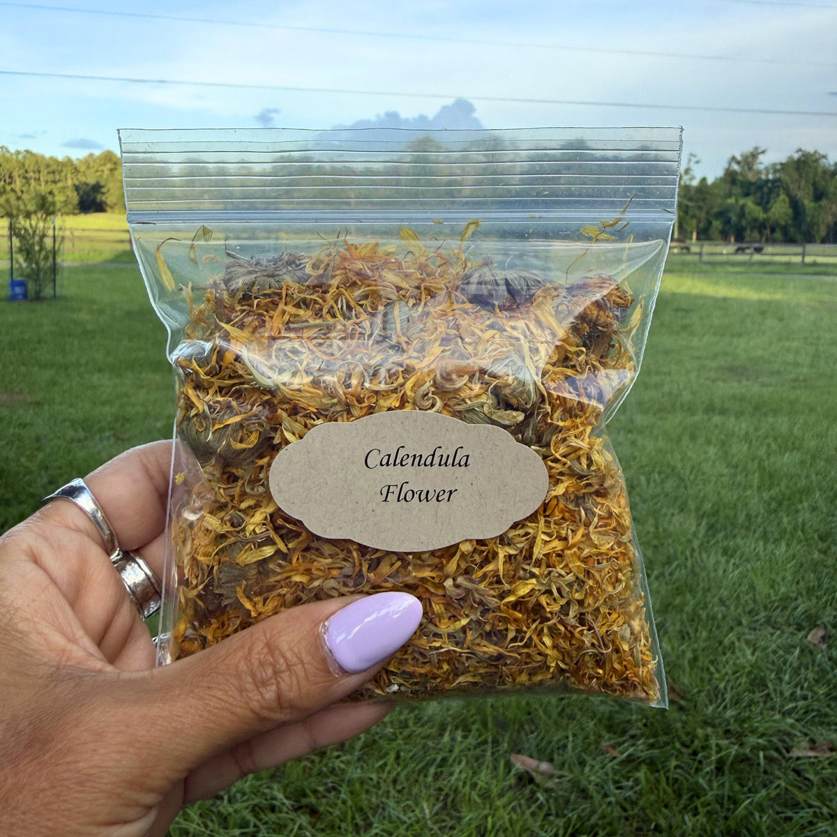 Calendula Flowers Whole | Dried Marigold Petals (Calendula officinalis) | Botanical Herb Supply | Herbal Tea, Skincare, Apothecary Crafts |