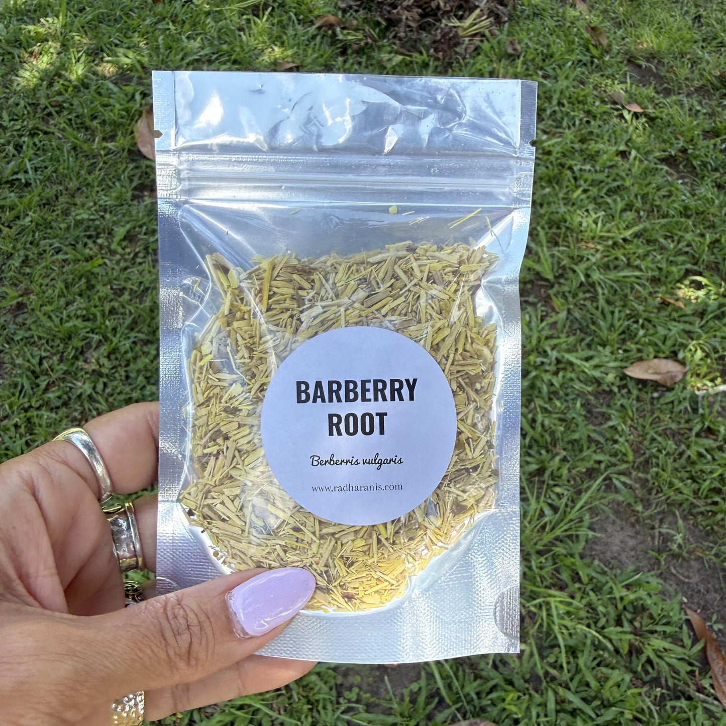 Barberry Root Bark Cut Sifted | Apothecary Herb, Herbal Tea, Botanical Crafts