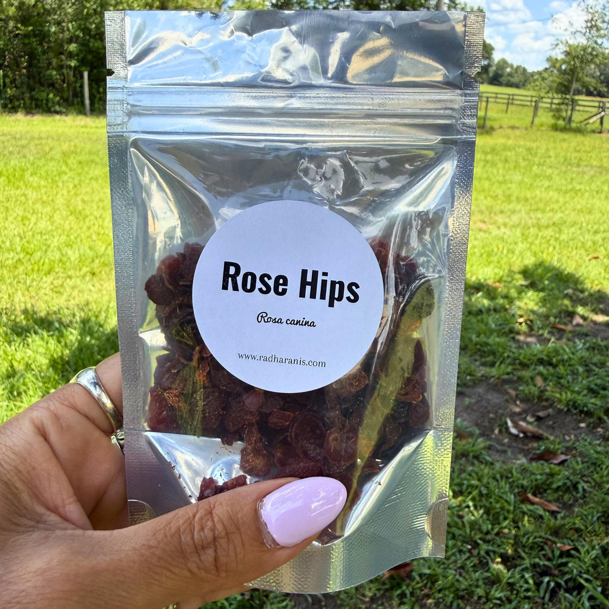 Rose Hips Whole | Dried Rosehips | Premium Botanical Herb | Herbal Tea Ingredient | Apothecary Supply | Potpourri & DIY Crafts