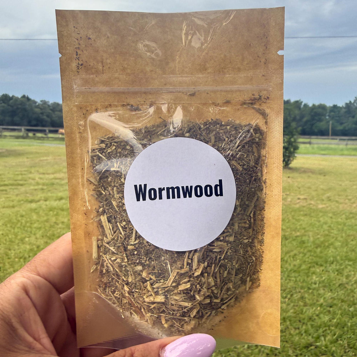 Wormwood Herb, Dried Wormwood, Artemisia absinthium, Cut Herbs, Herbal Tea Blend, Apothecary Herb, Botanical Supplies, Ritual Herb