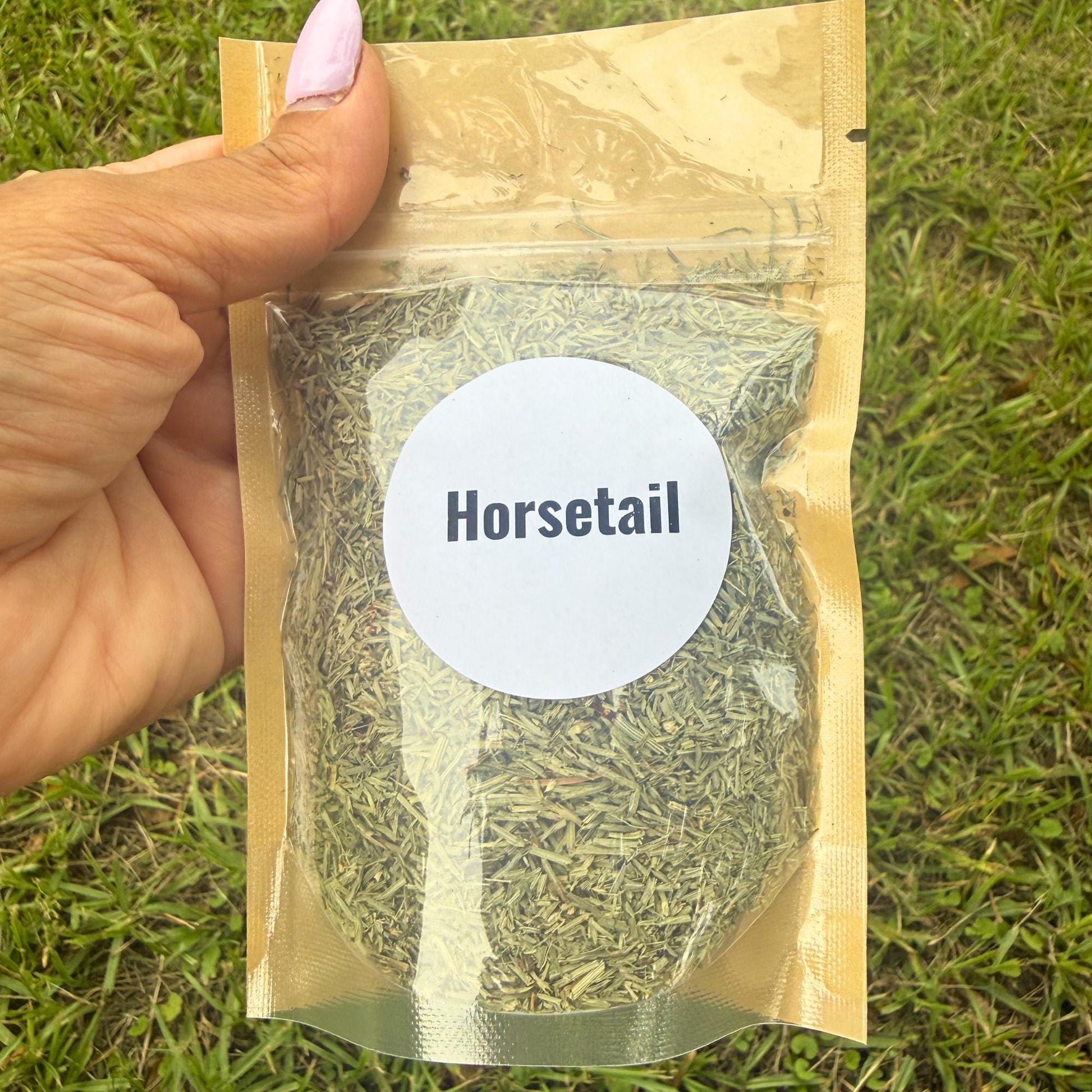 Dried Horsetail Herb (Equisetum arvense), Loose Cut Botanical Supplies