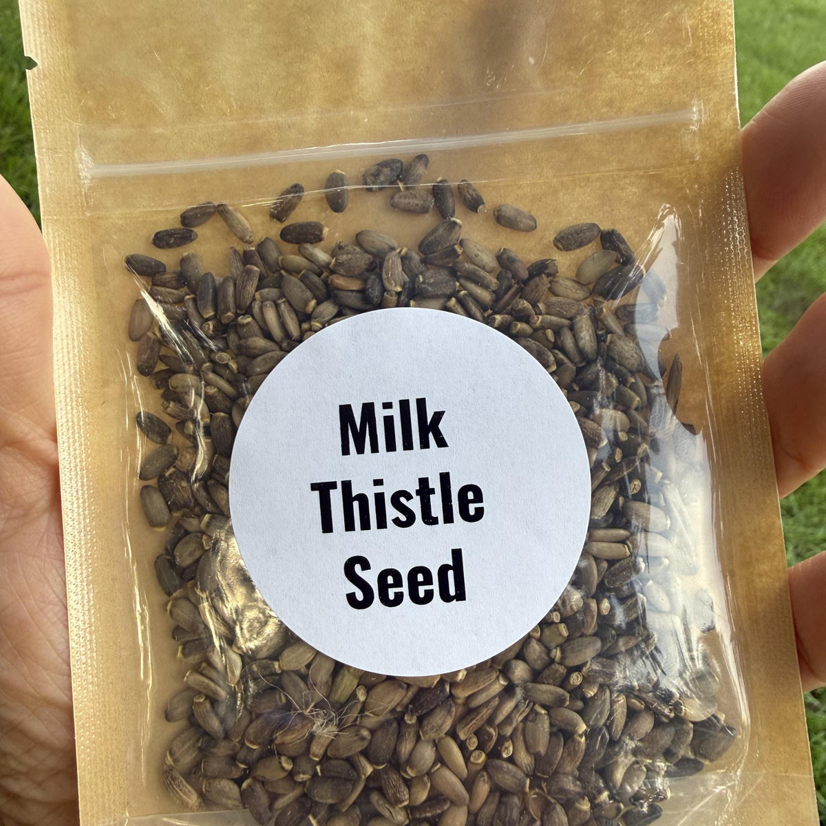 Milk Thistle Seeds | Whole Seeds | Silybum marianum | Herbal Tea Ingredient| Culinary Herb
