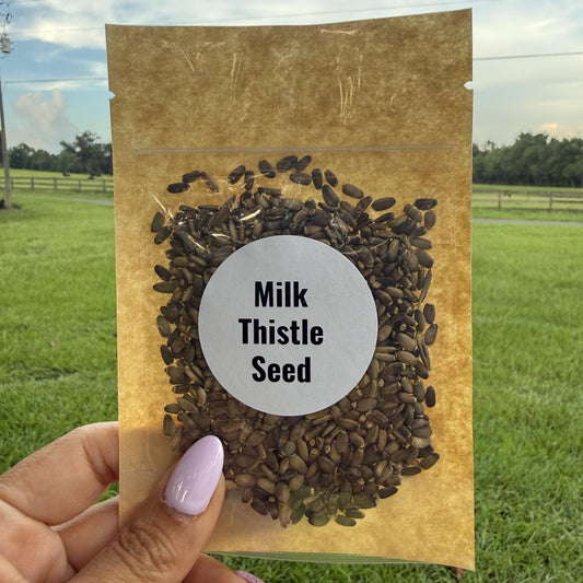 Milk Thistle Seeds | Whole Seeds | Silybum marianum | Herbal Tea Ingredient| Culinary Herb