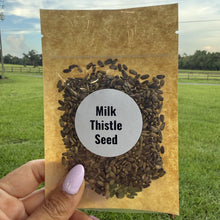 Milk Thistle Seeds | Whole Seeds | Silybum marianum | Herbal Tea Ingredient| Culinary Herb