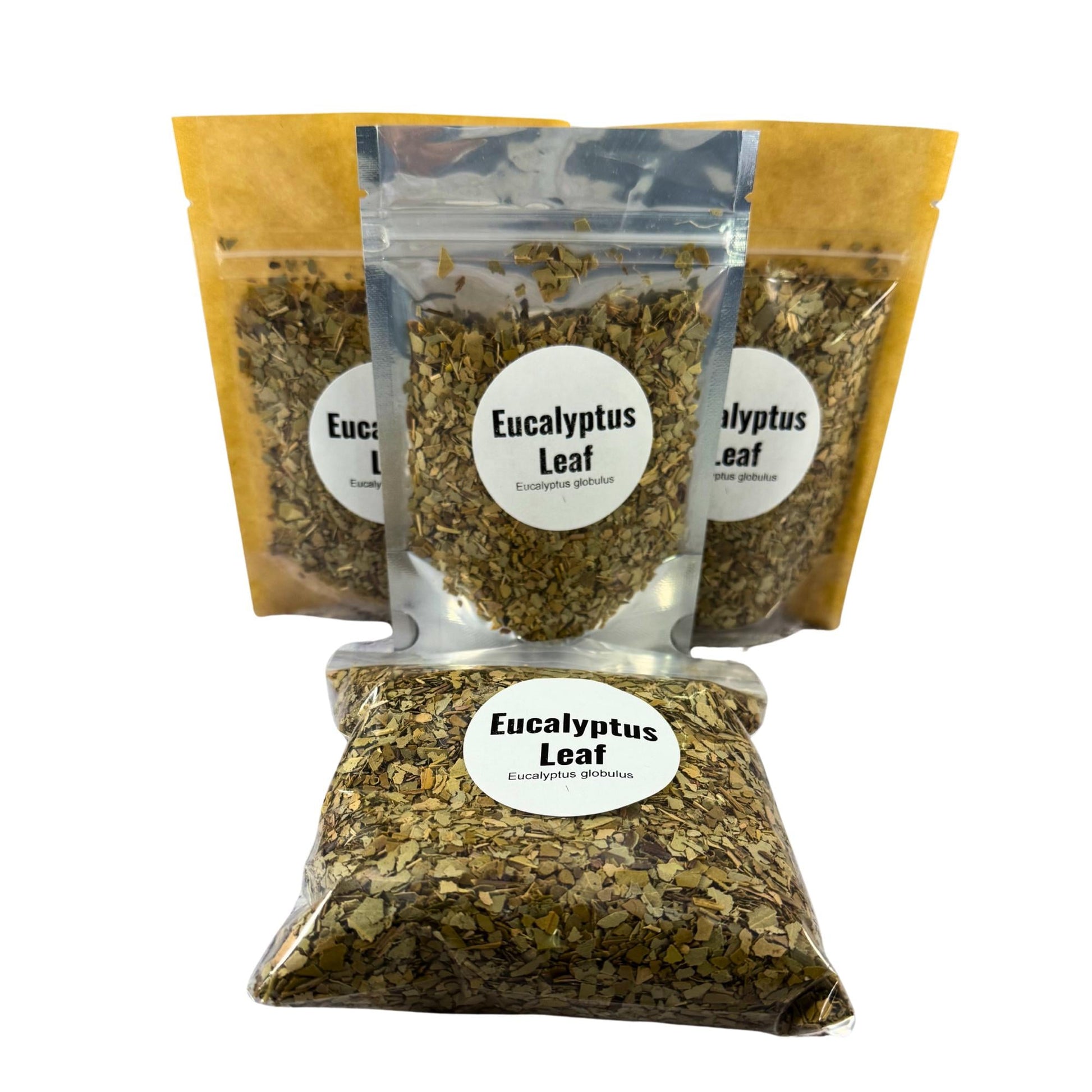 Dried Eucalyptus Leaf Craft Supply | Potpourri, Sachets, Botanical Projects