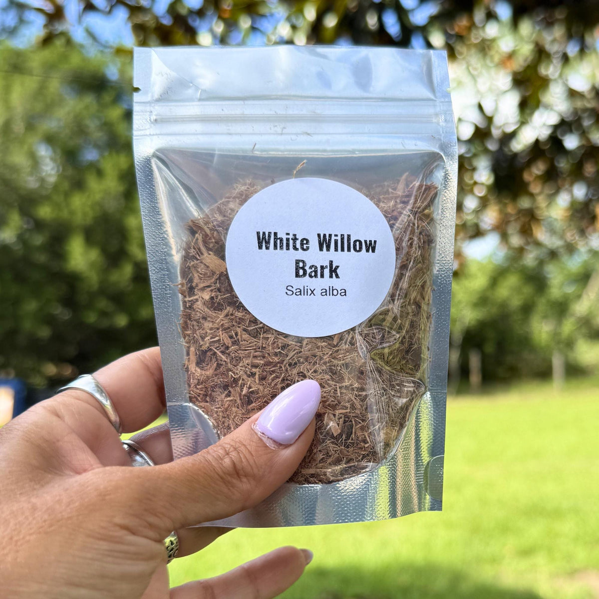 White Willow Bark | Cut & Sifted Dried Herb | Botanical Craft Supply | Herbal Projects, Sachets, Potpourri, DIY Wellness Blends