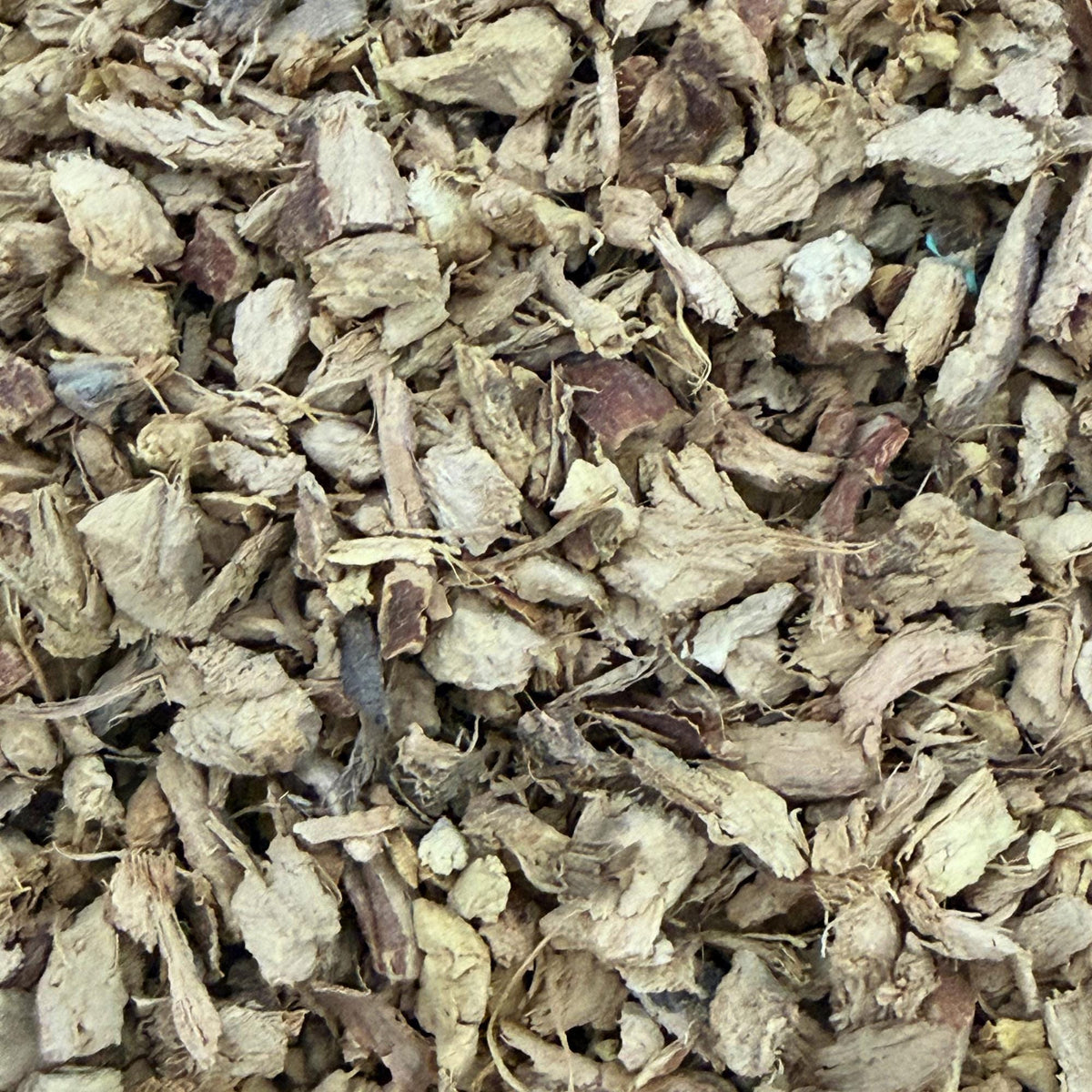 Galangal Root Cut & Sifted | Dried Alpinia Galanga from India | Herbal Spice and Botanical Supply | Apothecary, Culinary Herb