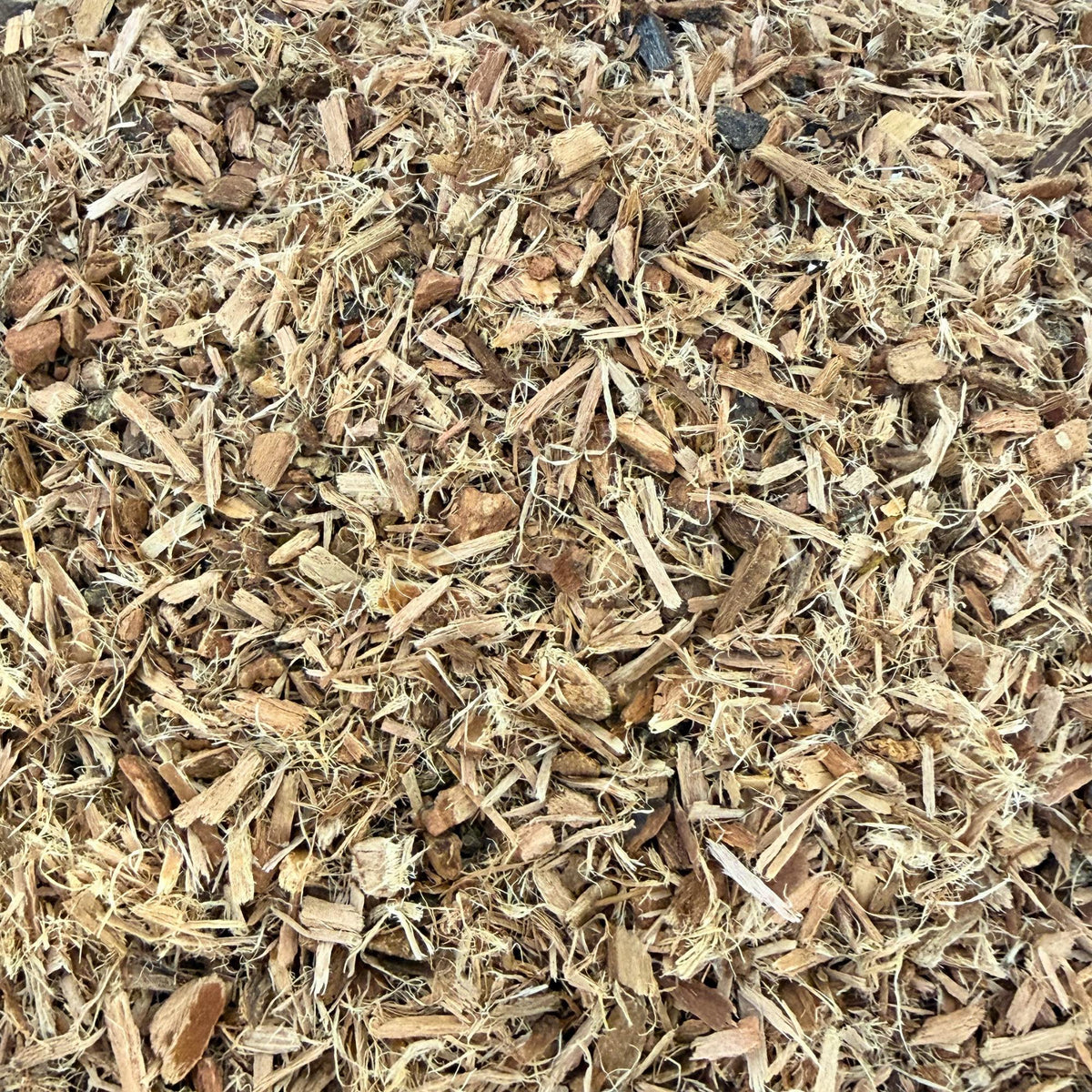 Galangal Root Cut & Sifted | Dried Alpinia Galanga from India | Herbal Spice and Botanical Supply | Apothecary, Culinary Herb
