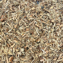 Galangal Root Cut & Sifted | Dried Alpinia Galanga from India | Herbal Spice and Botanical Supply | Apothecary, Culinary Herb