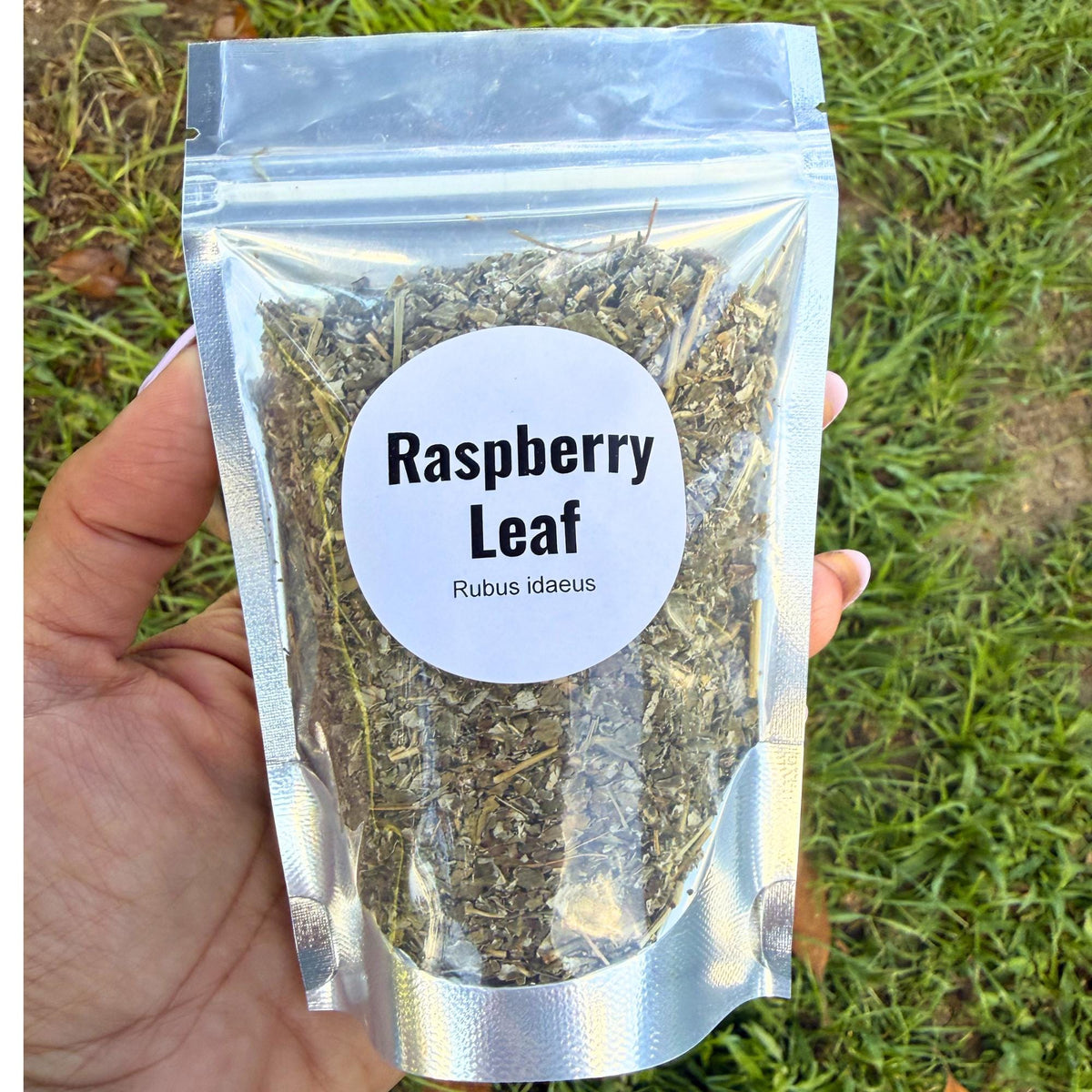 Raspberry Leaf Cut & Sifted | Dried Red Raspberry Leaf Herb | Botanical Apothecary Supply | Herbal Tea, Sachets, Wellness Blends
