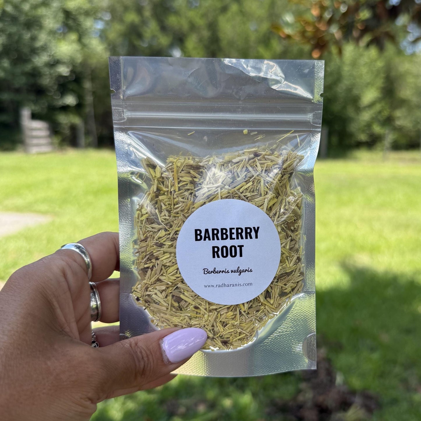 Barberry Root Bark Cut Sifted | Apothecary Herb, Herbal Tea, Botanical Crafts