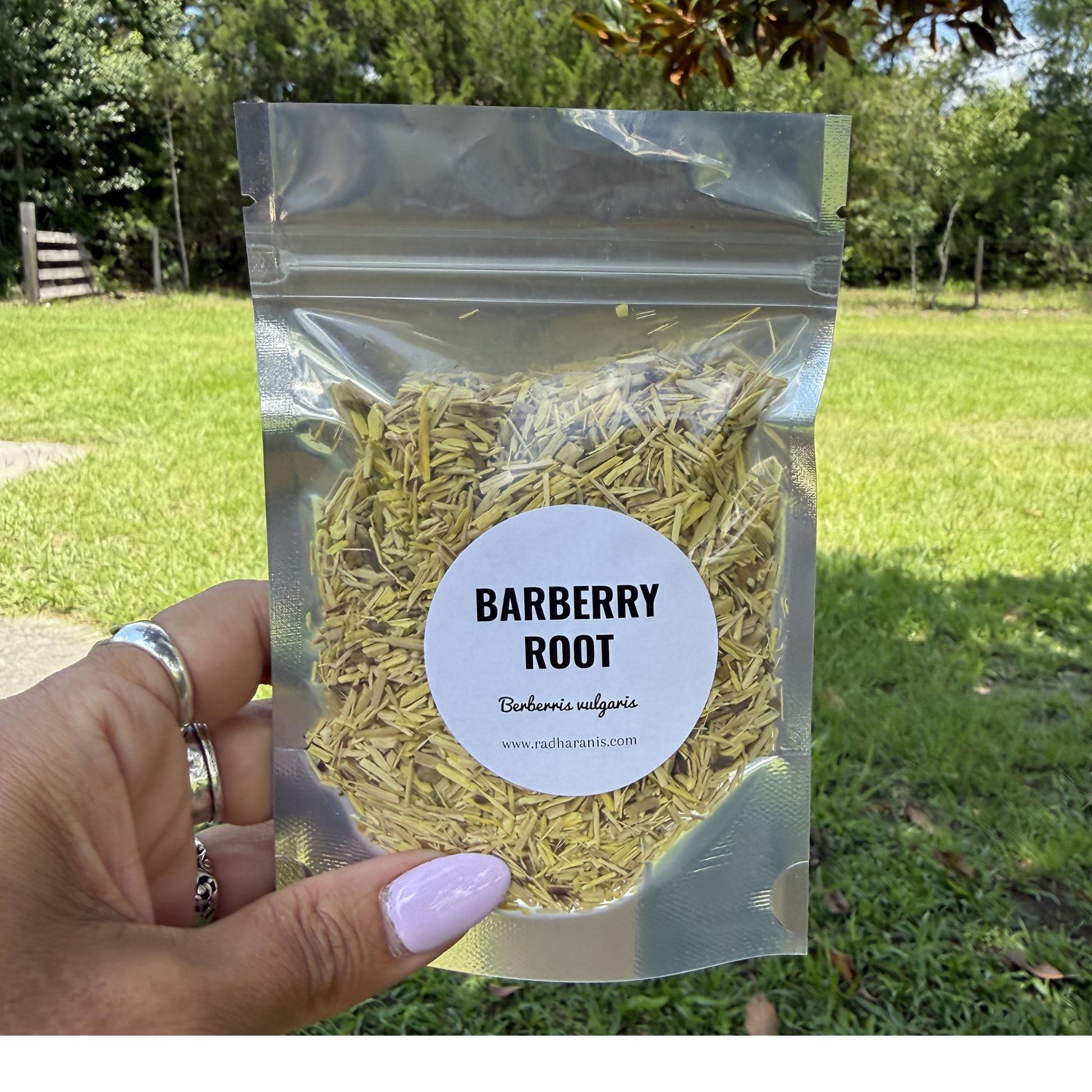 Barberry Root Bark Cut Sifted | Apothecary Herb, Herbal Tea, Botanical Crafts
