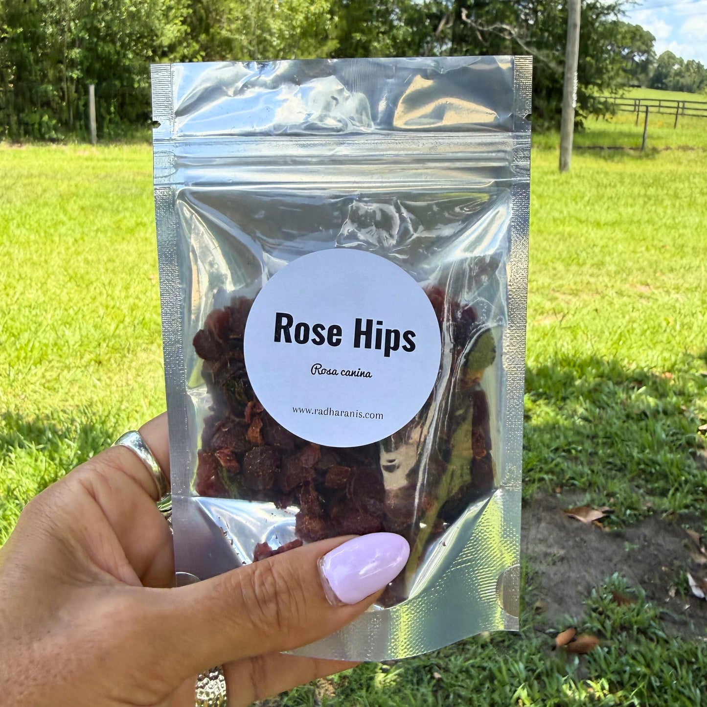 Rose Hips Whole | Dried Rosehips | Premium Botanical Herb | Herbal Tea Ingredient | Apothecary Supply | Potpourri & DIY Crafts