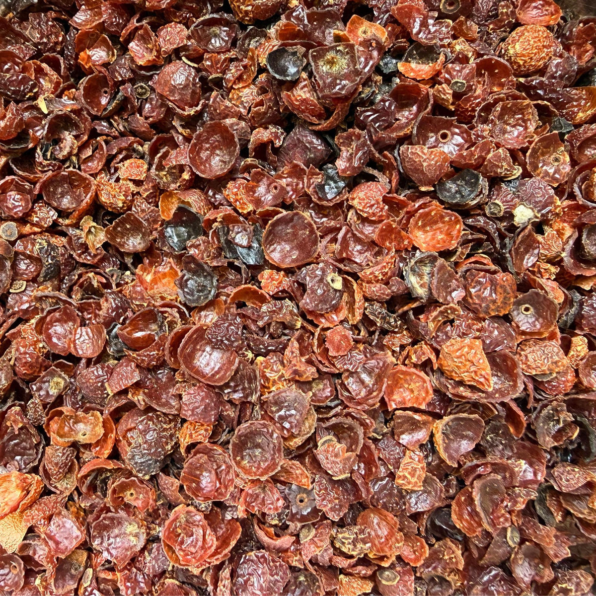 Rose Hips Whole | Dried Rosehips | Premium Botanical Herb | Herbal Tea Ingredient | Apothecary Supply | Potpourri & DIY Crafts