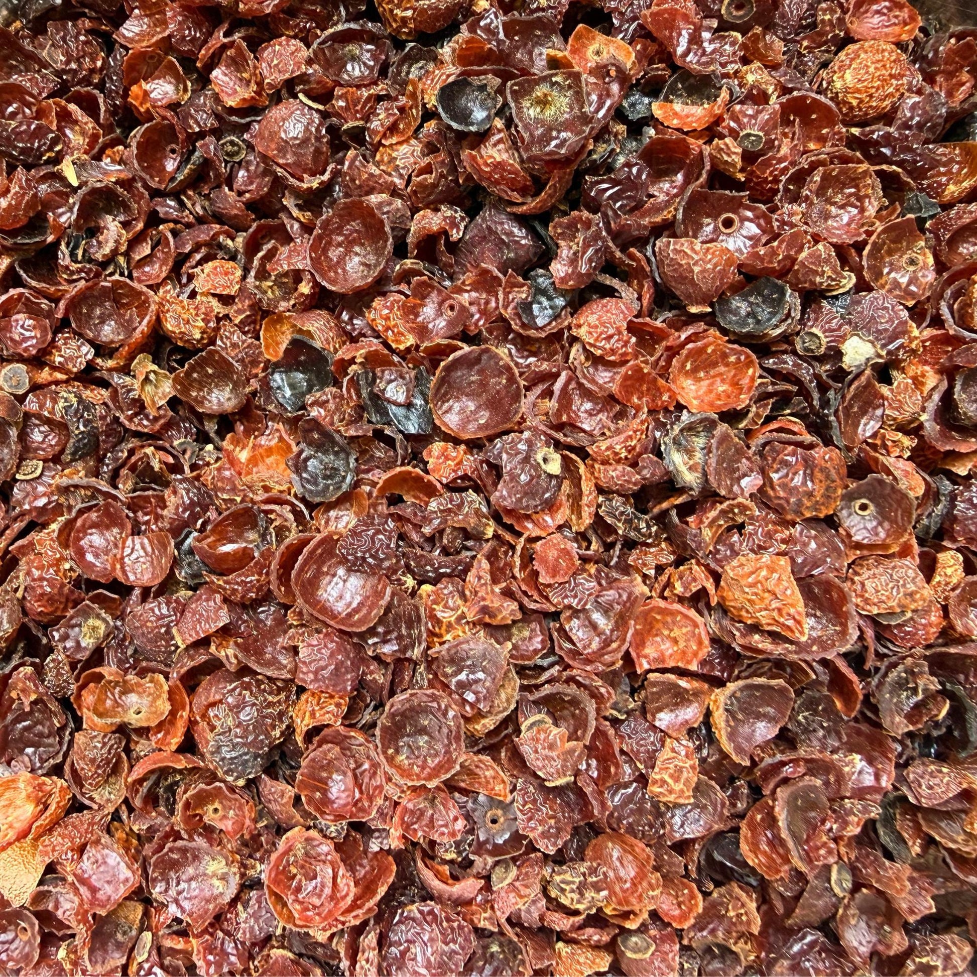 Rose Hips Whole | Dried Rosehips | Premium Botanical Herb | Herbal Tea Ingredient | Apothecary Supply | Potpourri & DIY Crafts