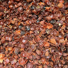 Rose Hips Whole | Dried Rosehips | Premium Botanical Herb | Herbal Tea Ingredient | Apothecary Supply | Potpourri & DIY Crafts