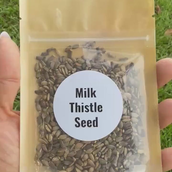 Milk Thistle Seeds | Whole Seeds | Silybum marianum | Herbal Tea Ingredient| Culinary Herb