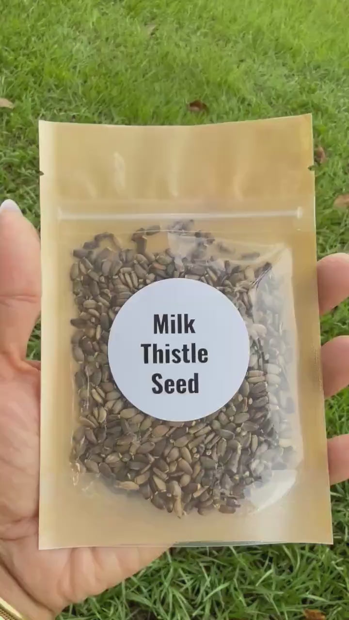 Milk Thistle Seeds | Whole Seeds | Silybum marianum | Herbal Tea Ingredient| Culinary Herb