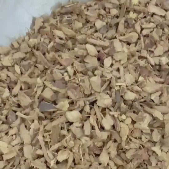 Galangal Root Cut & Sifted | Dried Alpinia Galanga from India | Herbal Spice and Botanical Supply | Apothecary, Culinary Herb