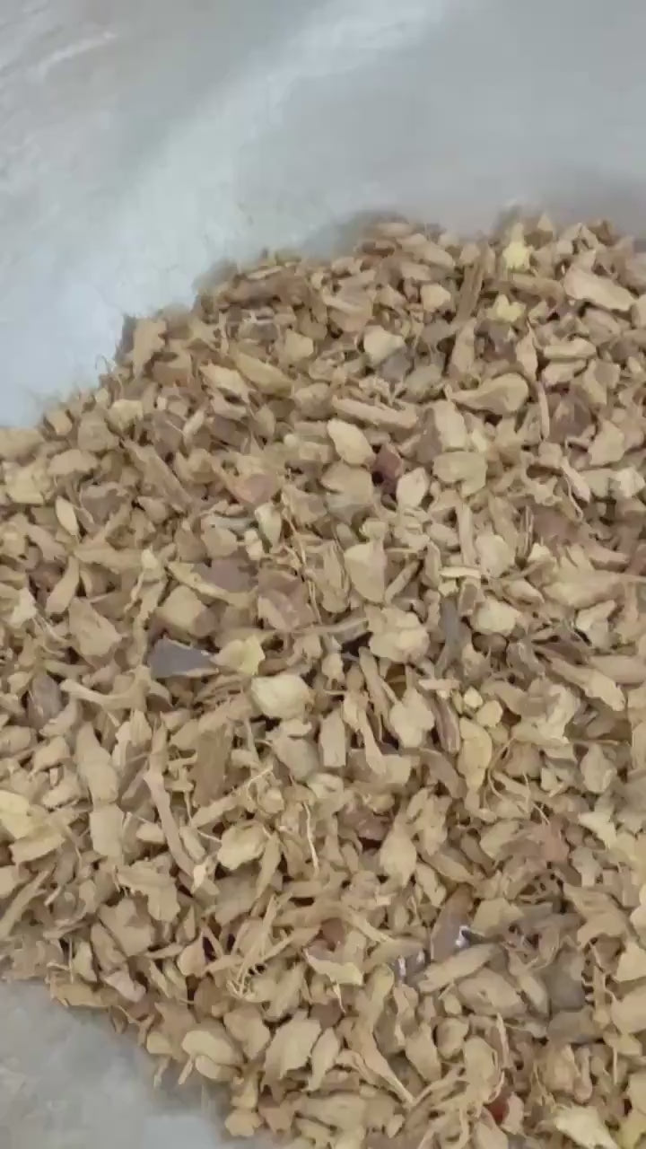 Galangal Root Cut & Sifted | Dried Alpinia Galanga from India | Herbal Spice and Botanical Supply | Apothecary, Culinary Herb